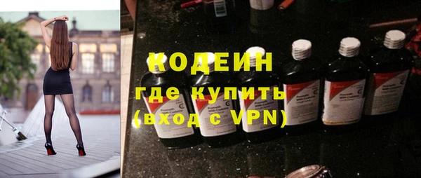 spice Инта