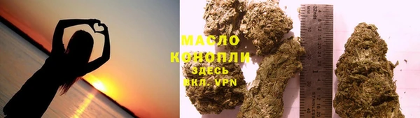 spice Инта