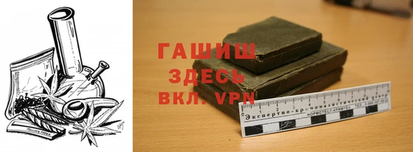 spice Инта