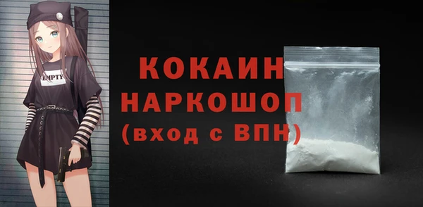 spice Инта