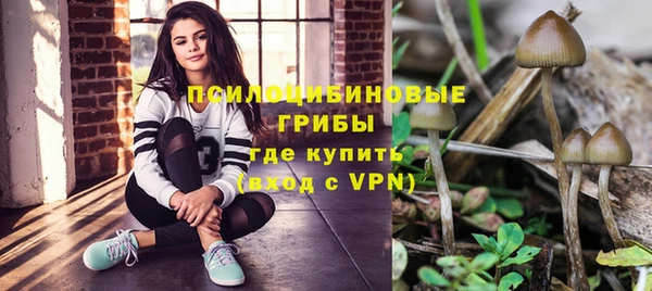 spice Инта