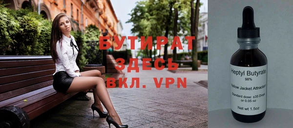 spice Инта