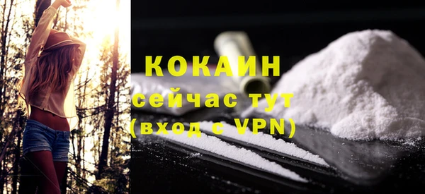 spice Инта