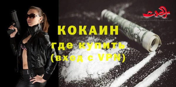 spice Инта