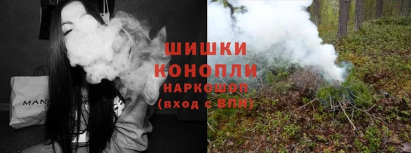 spice Инта