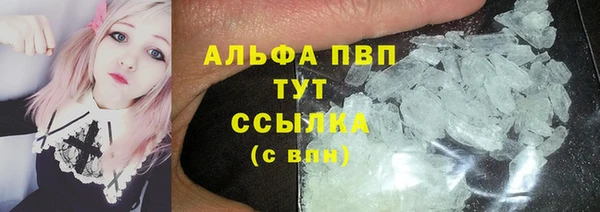 spice Инта