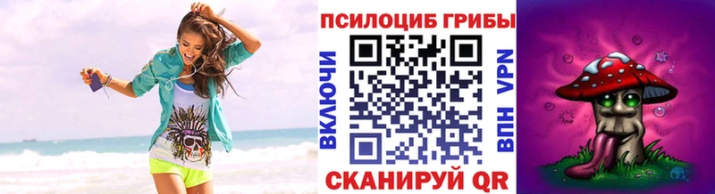 Купить где  Красково  Псилоцибиновые грибы GOLDEN TEACHER 